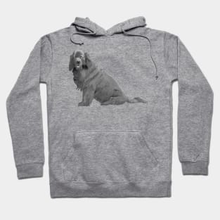 Newfoundland Hoodie